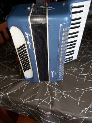 Fisarmonica Guerrini 60 Bassi