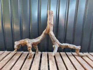 OFERTA! Raíz/tronco Decoración acuario/terrario