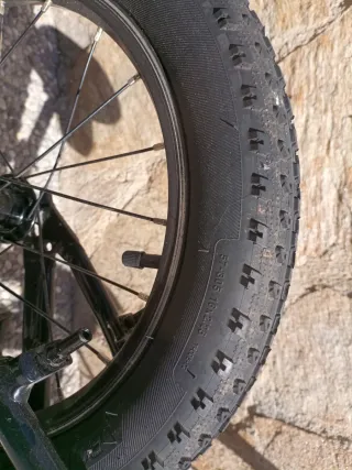 Bicicleta 16 Scott Scale