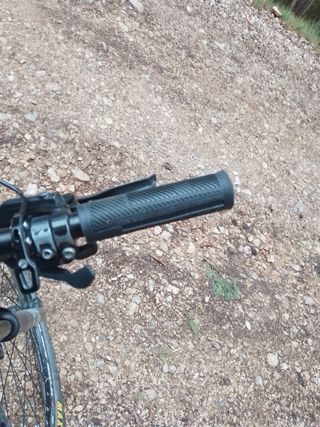 bici Massi carbono 29.