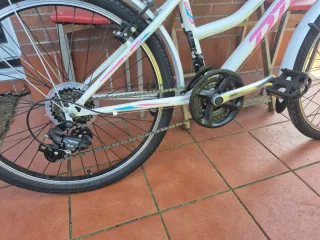 Bicicleta DTB 240 Girl 24 pulgadas.