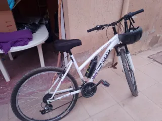 Bicicleta INDUR 265D Montaña Blanca