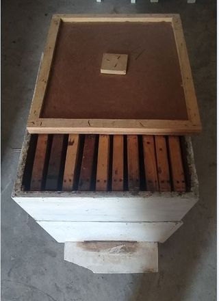 Cajones + Medias Alzas + Caja transporte abejas