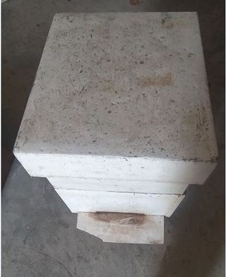 Cajones + Medias Alzas + Caja transporte abejas