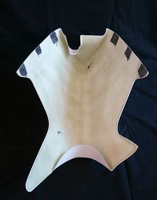 Carenado Honda RS250 y Beón circuito