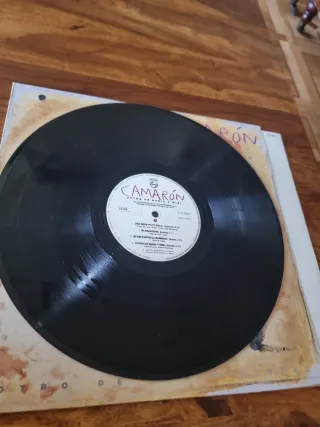 Vinilo Camaron Potro De Rabia