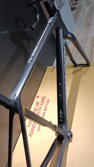 Cuadro Megamo Raise Talla M