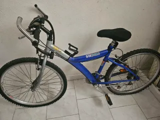 Bicicleta antigua TOPBIKE Stadium