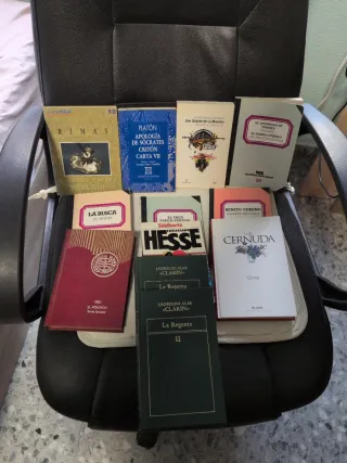 Lote 12 libros, 11 títulos