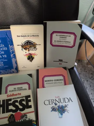 Lote 12 libros, 11 títulos