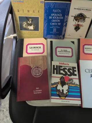 Lote 12 libros, 11 títulos