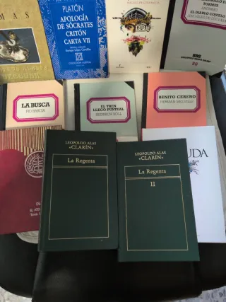 Lote 12 libros, 11 títulos