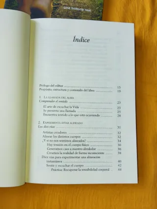 El lenguaje del Alma/ La fuerza del Alma.