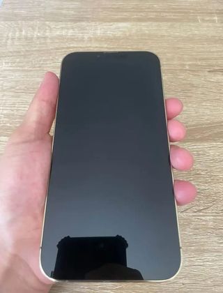 iPhone 13 Pro Max 256GB Oro