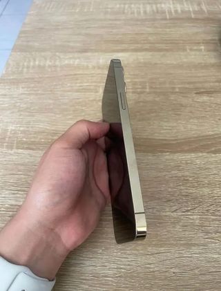 iPhone 13 Pro Max 256GB Oro