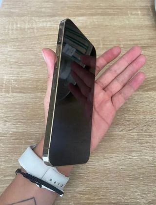 iPhone 13 Pro Max 256GB Oro