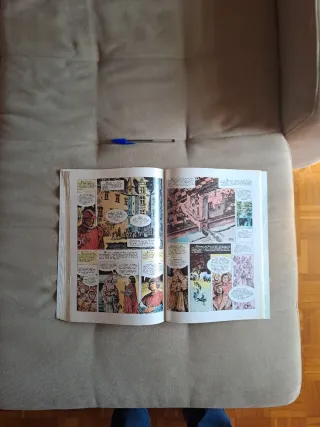 Historia de Navarra en comic.