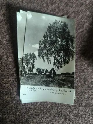 Colección Estampas B/N