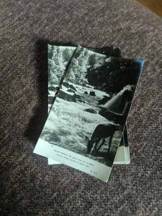 Colección Estampas B/N