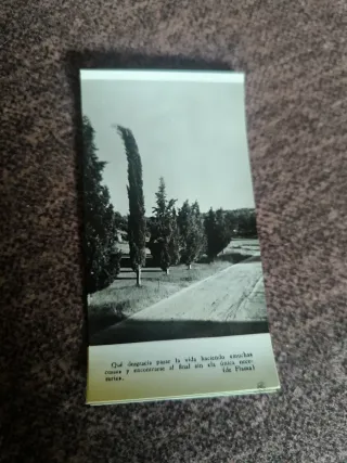 Colección Estampas B/N