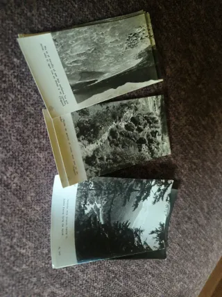 Colección Estampas B/N