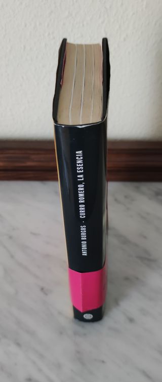 Libro Curro Romero: La esencia