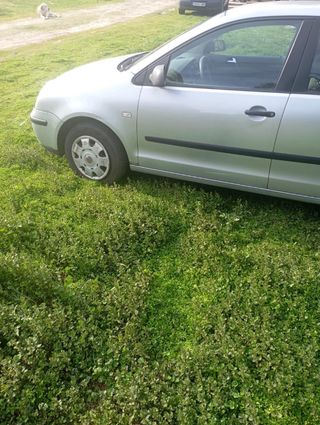 Volkswagen Polo 1.2 gasolina