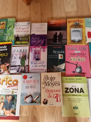 Lote de libros varias temáticas