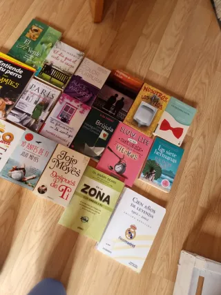 Lote de libros varias temáticas