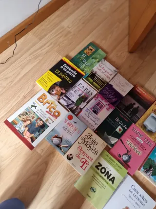 Lote de libros varias temáticas
