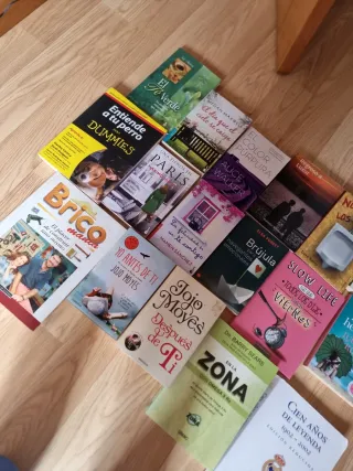 Lote de libros varias temáticas