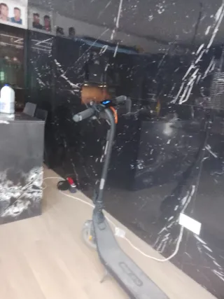 Patinete eléctrico Ninebot E2 Pro