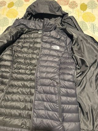 Chaqueta The North Face DryVent Plumas T-S