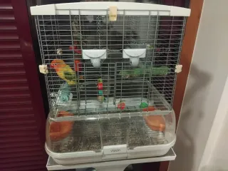 Jaula Hagen Vision S01