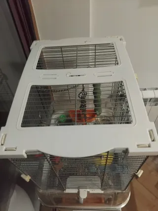 Jaula Hagen Vision S01