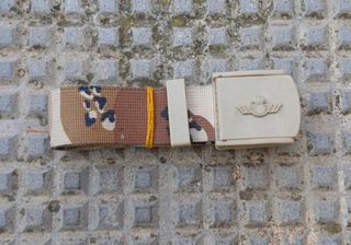 Cinturón Táctico Desert EA