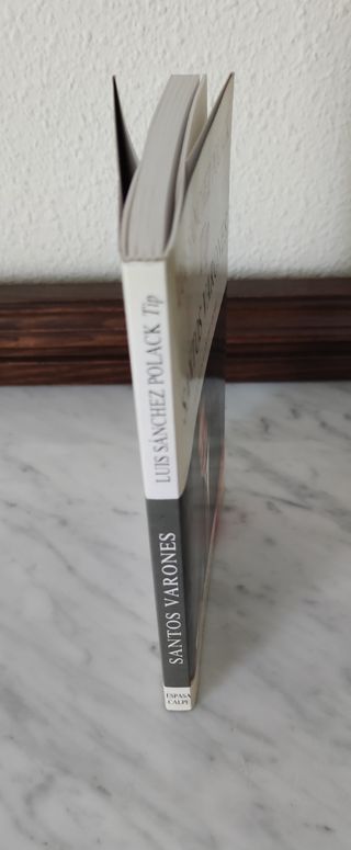 Libro Santos varones