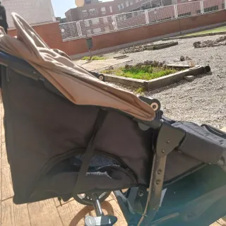 Carro Gemelar Baby Monsters