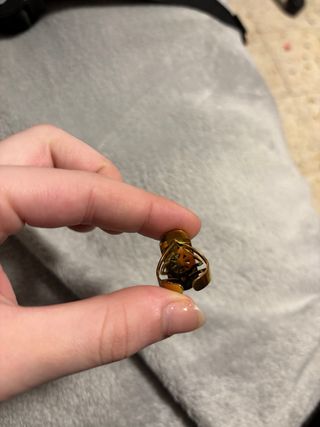 Anillo dorado ajustable con diseño