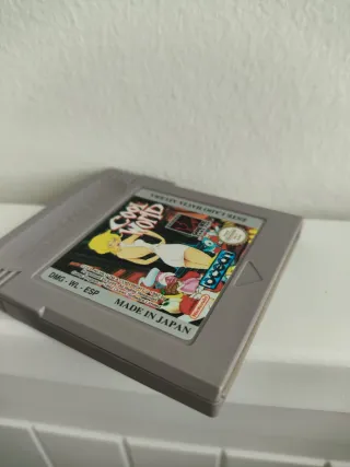 10/10 ESP Cool World Game Boy