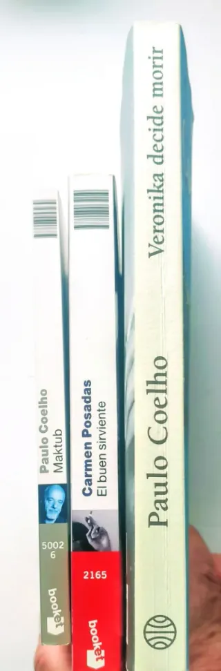 El buen sirviente. Maktub.