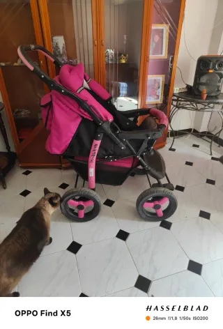 Carrito de bebé niña rosa