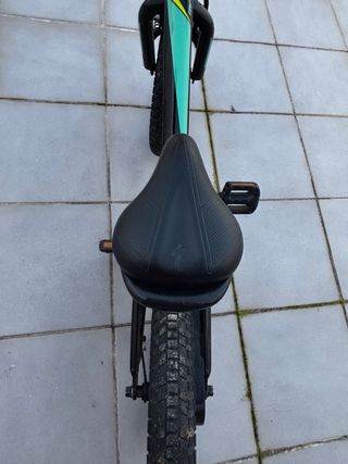 Bicicleta Infantil Specialized 20 Pulgadas