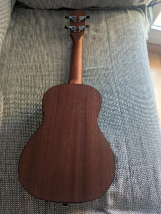 Ukelele con funda