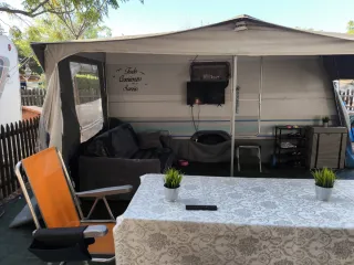 Caravana Ace Camel 750 KG