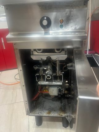 Freidora Industrial Gas Profesional