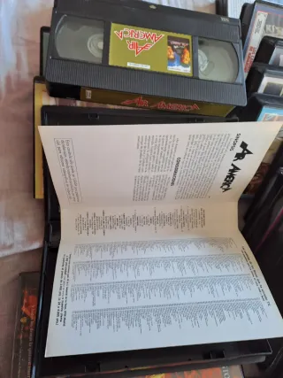 Lote de 20 cintas vhs con carátulas cacitel