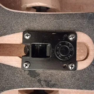 Longboard Loaded Tan Tien flex 1