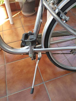 Bicicleta Monty plateada con cesta