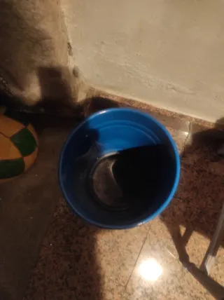 Paragüero vintage azul